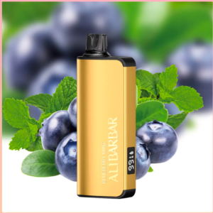 Alibarbar INGOT 20000 Blueberry Mint