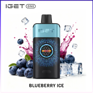 IGET One Blueberry Ice 12000 puffs