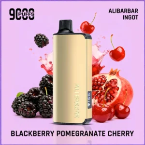 Alibarbar Ingot 9000 Puffs Review: Blackberry Pomegranate Cherry Flavour & Long-Lasting Performance Tested