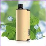 Buy Alibarbar INGOT Cool Mint 20000 Puffs Australia | Review & Specs