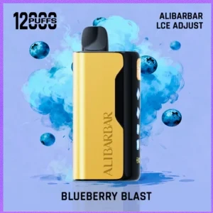 ALIBARBAR Ice Adjust 12000 Puffs Blueberry blast