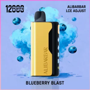 Should You Buy ALIBARBAR Ice Adjust 12000 Blueberry Blast? Full Review for Australian Vapers