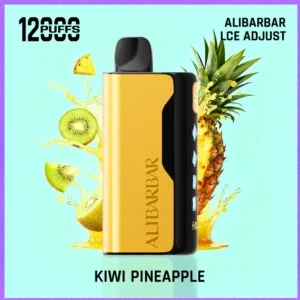ALIBARBAR Ice Adjust 12000 Puffs Kiwi pineapple