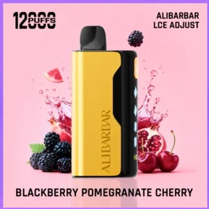 ALIBARBAR Ice Adjust 12000 Puffs Blackberry Pomegranate Cherry